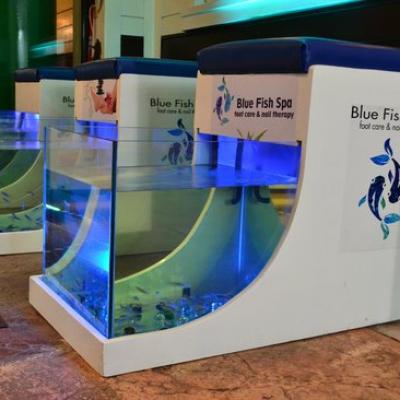 Blue Fish Spa